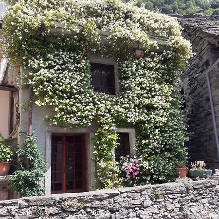 Tana Del Paradiso Baceno Exterior photo