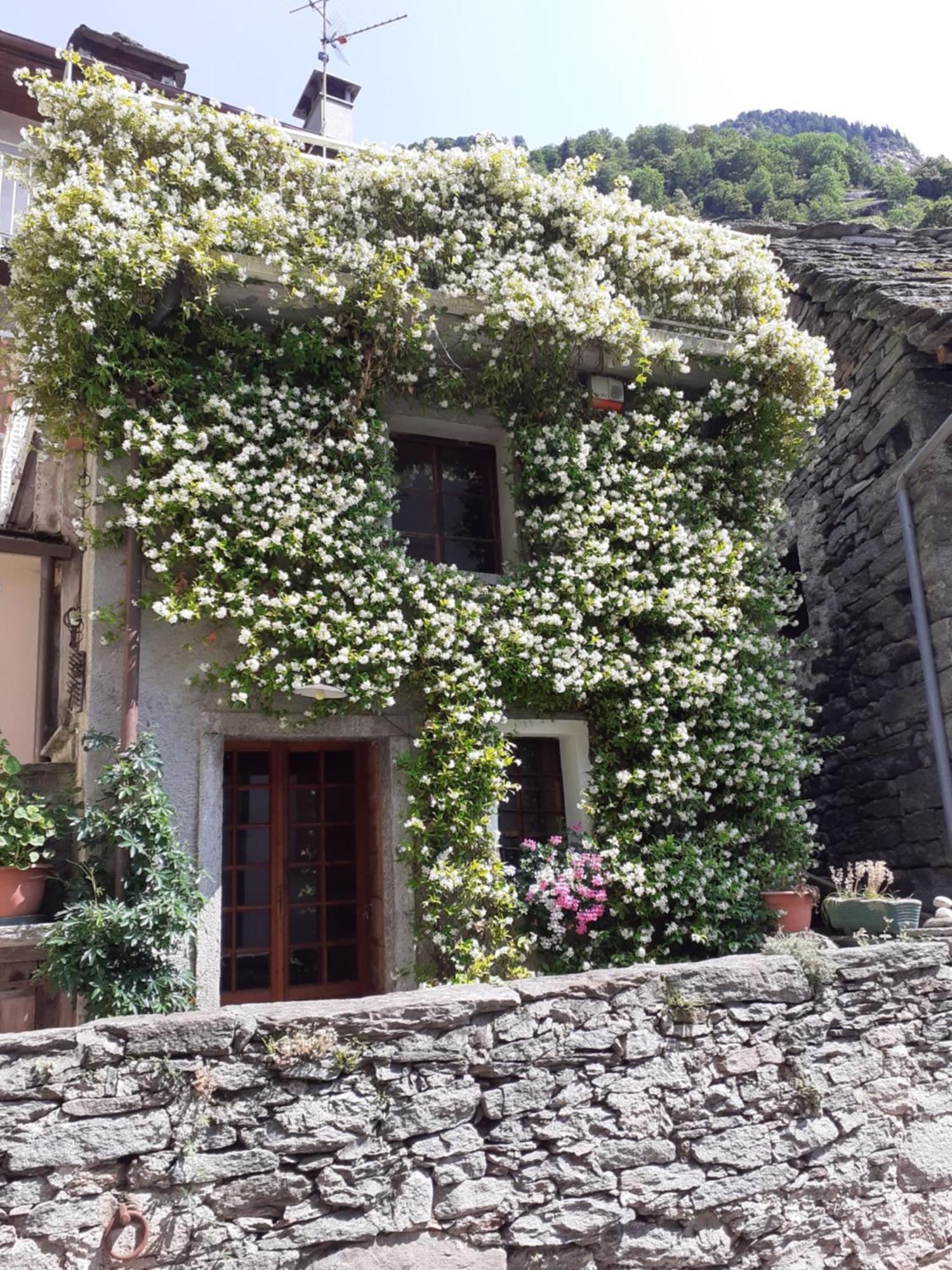 Tana Del Paradiso Baceno Exterior photo